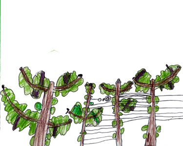 Ein größeres Bild gibt's, wenn Du auf das Bild klickst.