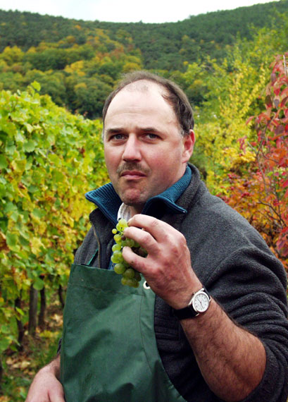Anklicken - und das Fenster geht weg ...