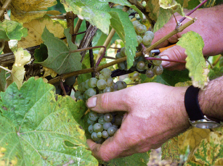 Anklicken - und das Fenster geht weg ...