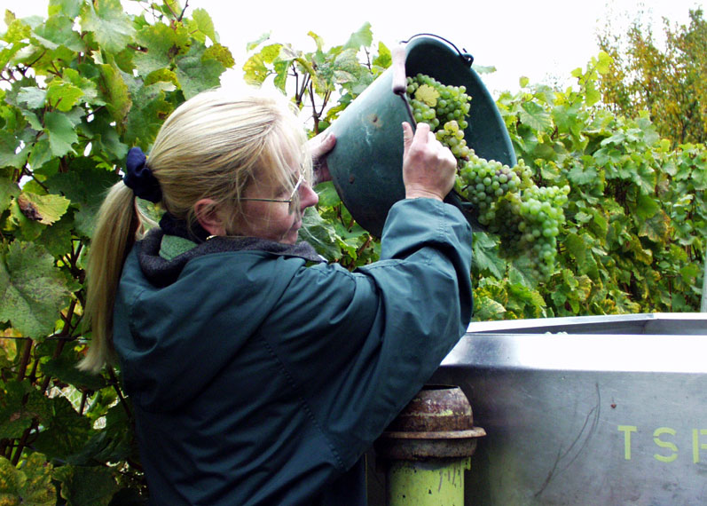Anklicken - und das Fenster geht weg ...