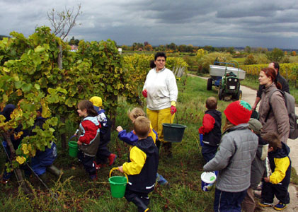 Klick mich - und ich werde größer