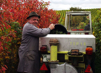 Klick mich - und ich werde größer