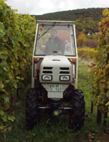 Klick mich - und ich werde größer