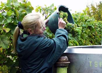 Klick mich - und ich werde größer
