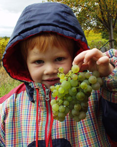 Klick mich - und ich werde größer
